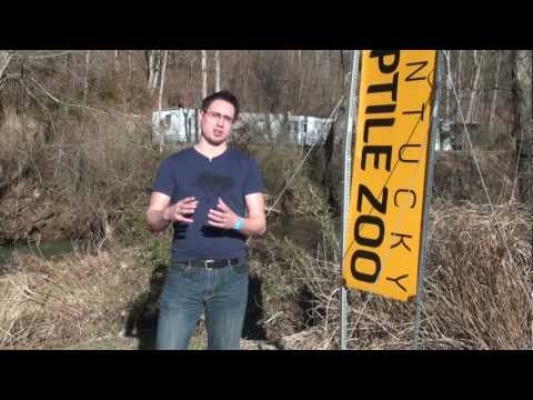 YouTube reptile video