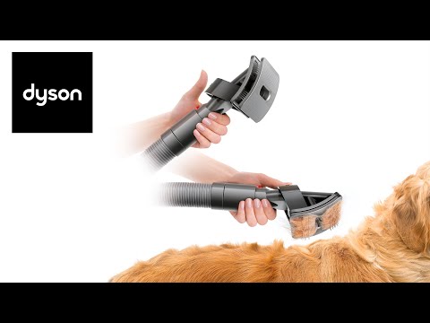 Mess-free vacuum-assisted dog grooming. See the Dyson Groom tool in use.