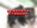 Thumbnail #3