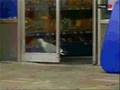 Seagull Steals Doritos