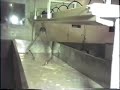 Wellburn Cheese Making - Chapter 1of 5