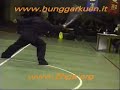 Hung Ga Kung Fu