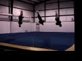 SFA Coed Bid Video 2005