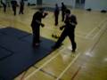 videos de simon and baillie new fight