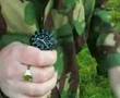 Special forces survival navigation training