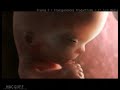 La vida en estado latente. Este es un video publicado por un profe de DaVinci, como material didacto. No lo hizo el ni nada. Pero me parecio muy piola. Sólo lo comparto. No me hagan juicio ni nada y si estoy violando algun derecho no lo se. Me dicen y listo. Gracias.