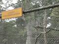 Macaco Assassino no Passeio Público