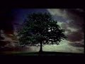 Barber's Adagio for Strings