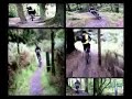 kirroughtree-7stanes-mountain-biking-atc2000.html