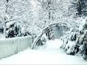 Silent Snow.wmv Silent Snow.wmv