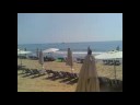 ENEA's LANDING
