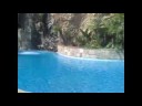 ENEA's LANDING