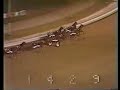 1976 US Pacing Championship Roosevelt Raceway harness racing 1976 US Pacing Championship Roosevelt Raceway harness racing