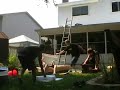 ETW Vintage - All Or Nothing Ladder Match