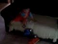 Caminh�o!!!