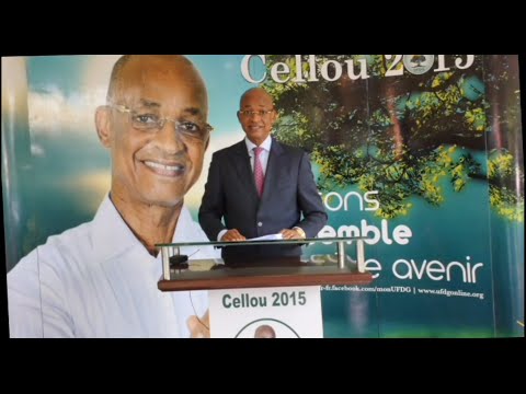 Campagne 2015 - Discours d'ouverture de Cellou Dalein Diallo 