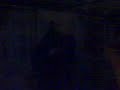 Hlava a sk?í? Hlava a sk?í?