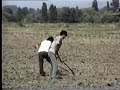muratlar k�y� d�zlemeler l�tf� akg�z