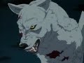 Wolf\