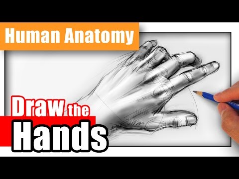 how to draw open hands