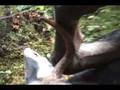 2008 Omineca Moose Hunt (Part 1)
