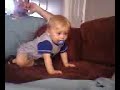 how obedient is your 8 month old? how obedient is your 8 month old?