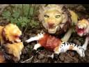 South African Tourism Plastic Animals.avi