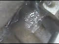 VW Golf TDi Fuel Leak @ Glowplug VW Golf TDi Fuel Leak @ Glowplug