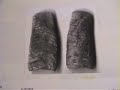 SCPA - Cephalopod fossils , Big Squid Tour