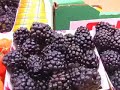 Farmers Market Marin County California