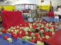 Gymnastics Olympica Video Montage