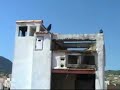 V Concurso Palomos de Trabajo (Fernando T. 03)