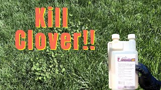 Kill Clover with TZone SE Herbicide
