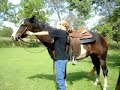 Backflip into saddle