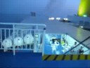 Leaving the ship
