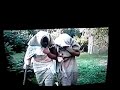 Dwie dziewice Orleańskie