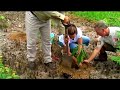 Australian Rainforest Foundation
