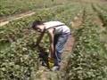 梨園動画17