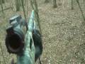 Wayne County Illinois Deer Season 2008
