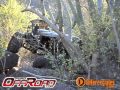 Ver Video