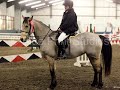 toffee bsja/shows mega mix good and bad times