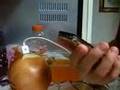 ONIONS AND ELECTROLYTES UNITE!