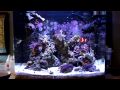 My 24g Aquapod
