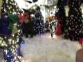 videos de MEMORIAL MALL HOUSTON TX, NAVIDAD 2008