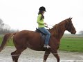 Riding on Nimfe...