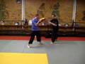 Trapping jeet kune do pattes d'ours (Michel Rozzi)