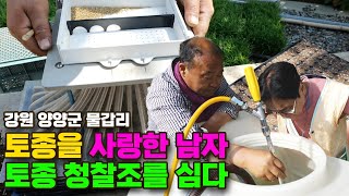토생수