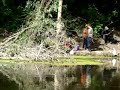 bosut, pecanje, privlaka bosut, pecanje, privlaka