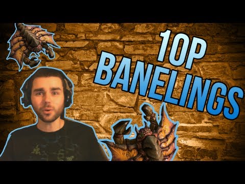 starcraft 2 zerg starcraft 2 zerg