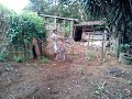 Click here to watch this video bmx in house